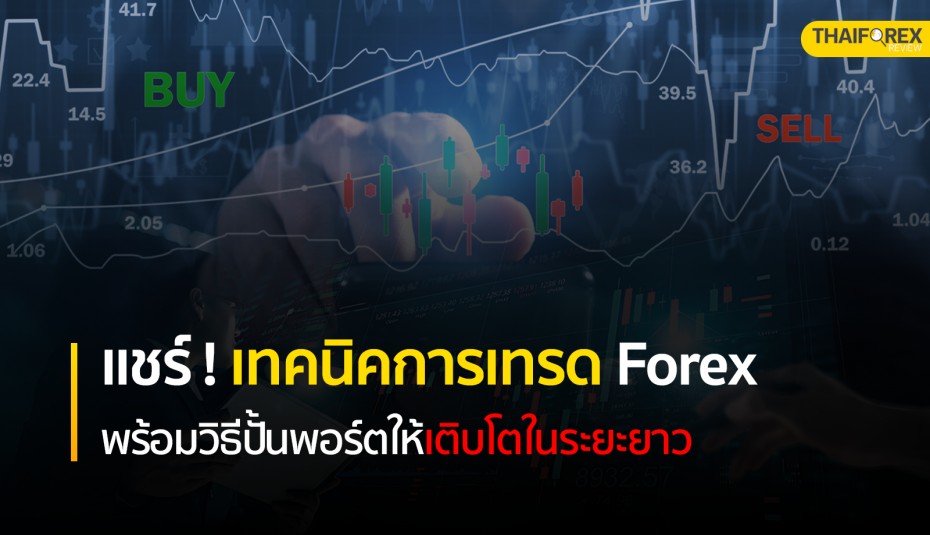 เทคนิคการเทรด Forex พร้อมวิธีปั้นพอร์ตให้เติบโตในระยะยาว