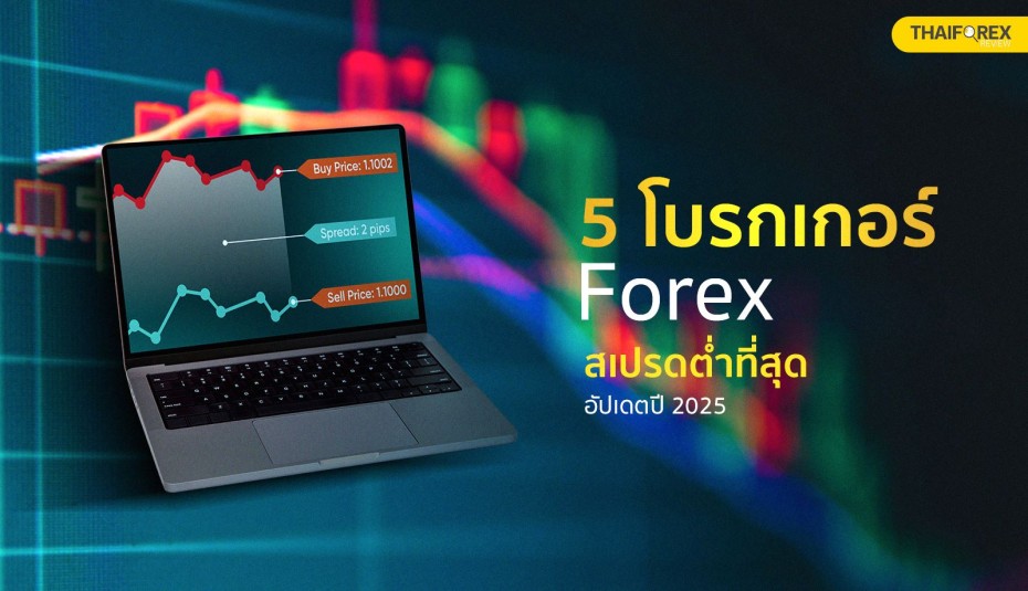 image-tahiforexreview