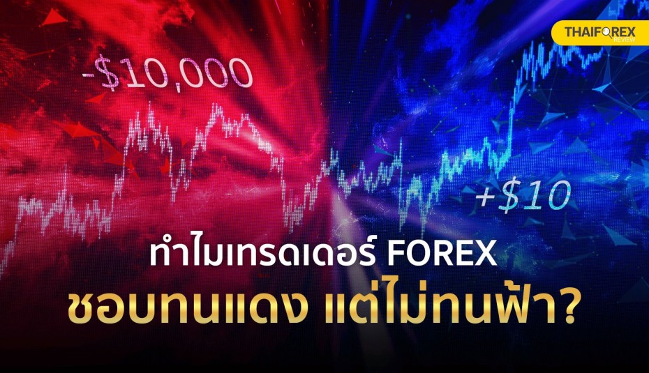 จิตวิทยาการเทรด ทำไมเทรดเดอร์ Forex ชอบทนแดง แต่ไม่ทนฟ้า