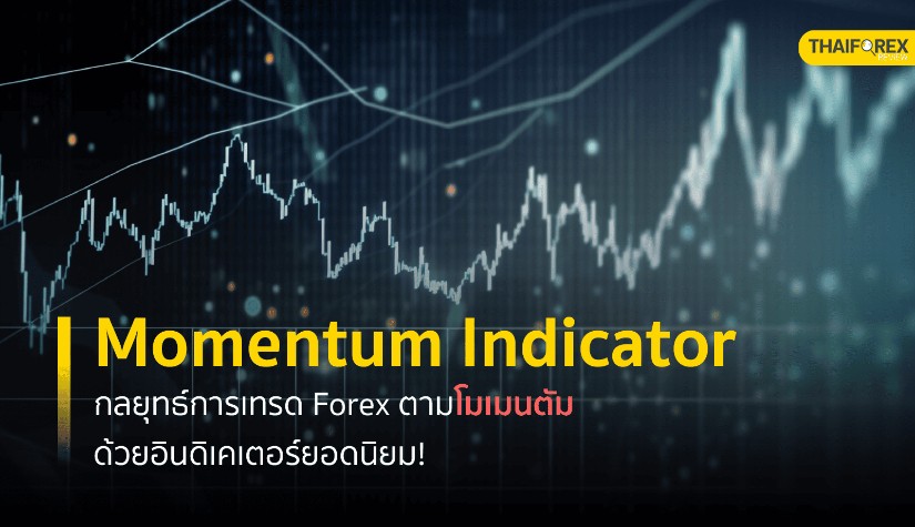 Momentum Indicator กลยุทธ์การเทรด Forex ตามโมเมนตัม