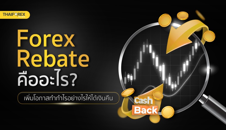 image-tahiforexreview