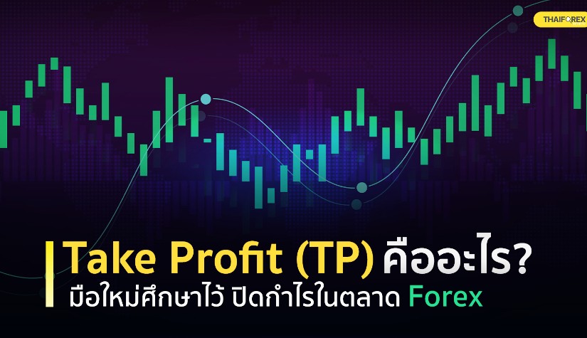 Take Profit (TP) คืออะไร? มือใหม่ศึกษาไว้ ปิดกำไรในตลาด Forex