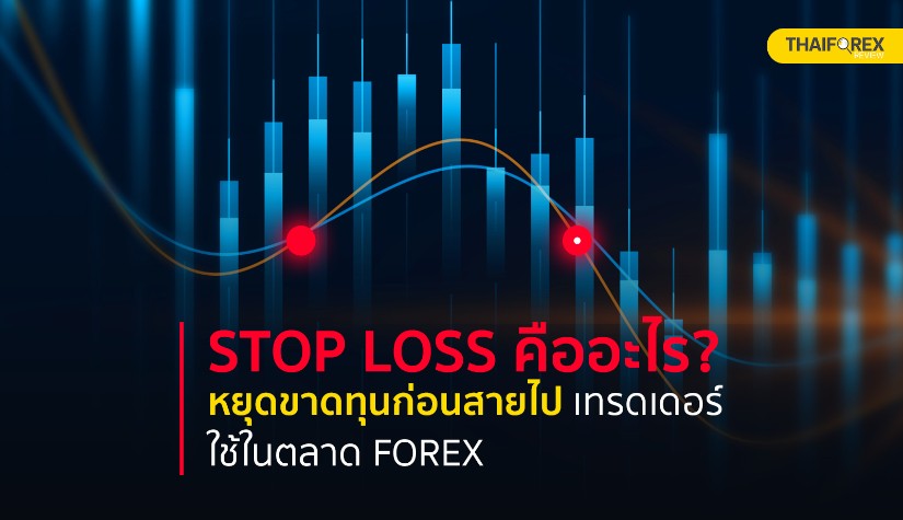 Stop Loss คืออะไร? หยุดขาดทุนก่อนสายไป เทรดเดอร์ใช้ในตลาด Forex