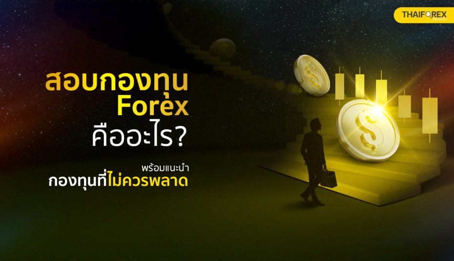 image-tahiforexreview