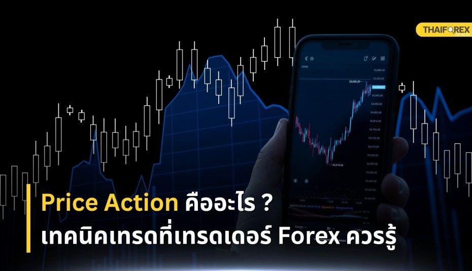 Price Action คืออะไร? เทคนิคเทรดที่เทรดเดอร์ Forex ควรรู้