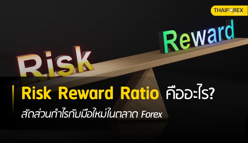 Risk Reward Ratio คืออะไร? สัดส่วนกำไรกับมือใหม่ในตลาด Forex